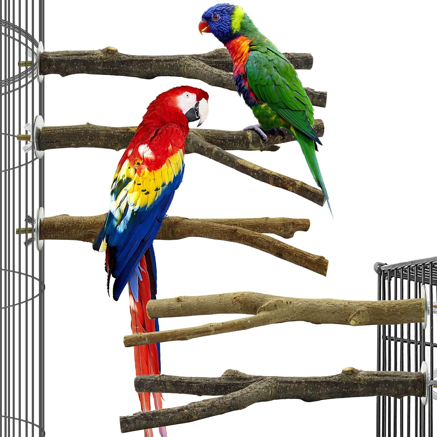 Wooden Bird Perch Set